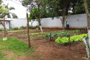 foto de CLINICA MASCULINA EM MOGI MIRIM CAMPINAS 